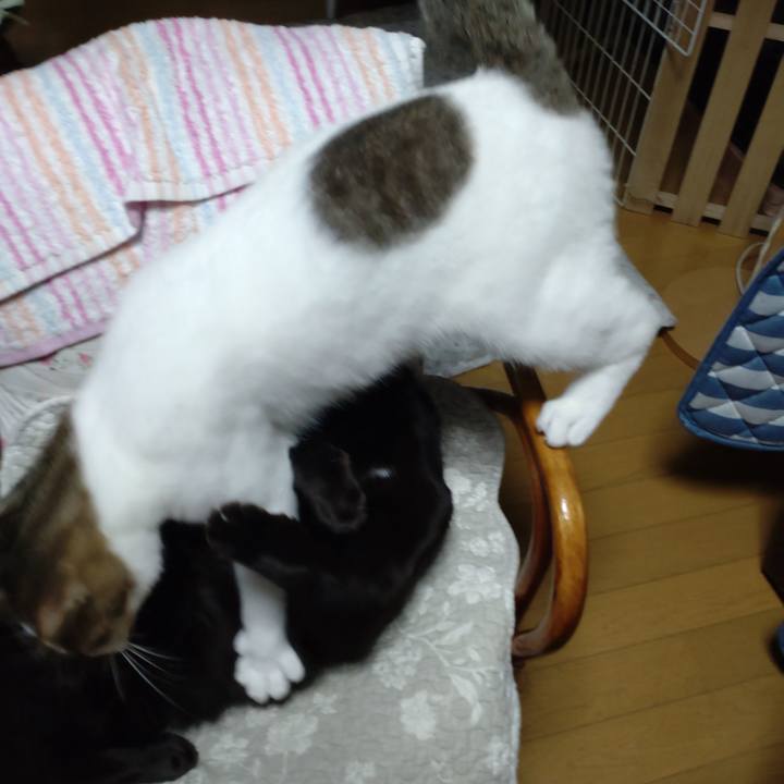 97e9e79d a334 427d 852f e80bcbb0293c 1666339696139