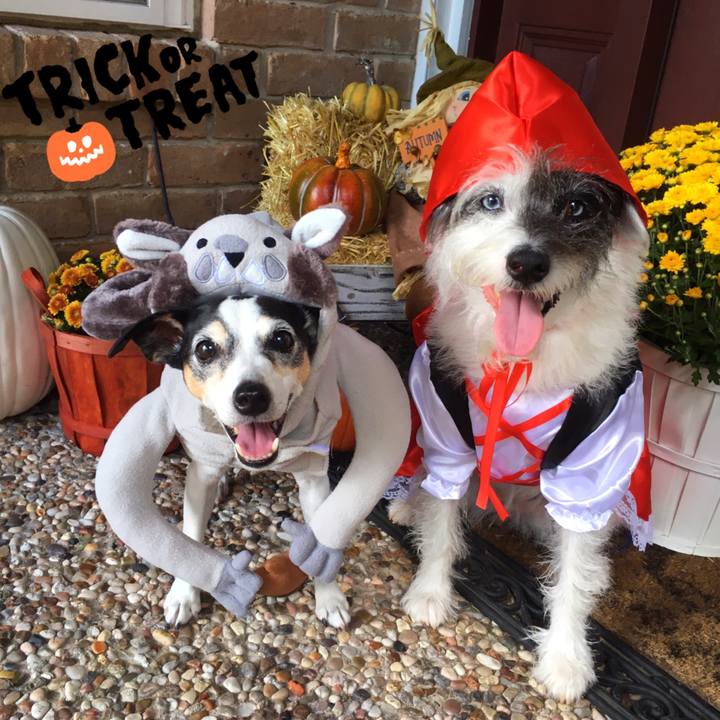 97ea3220 e737 43d6 99e1 170deed399af 1540765016990