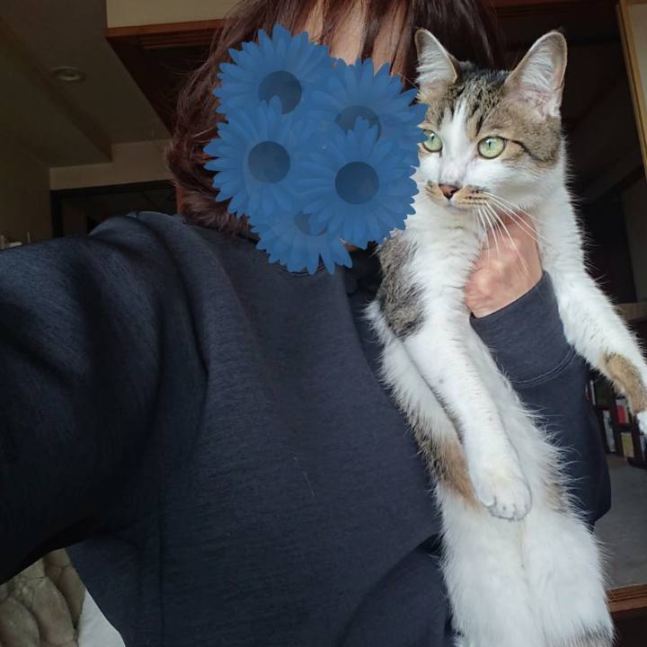 97ea4ae1 28f0 4b4d 8945 07da9dfb4b40 1646376069276