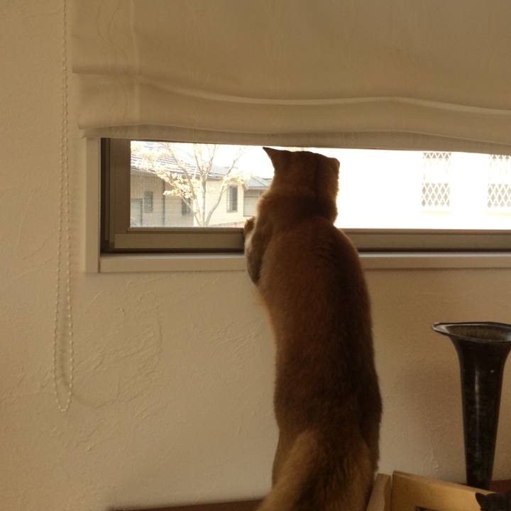 97ea63c1 b571 41be b230 b6372e950be8 1587004300613