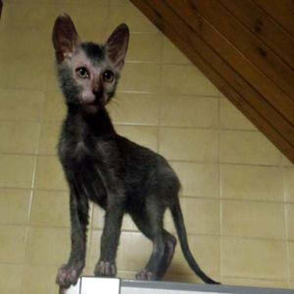 97eab758 49b9 4f95 be61 334ba8742ebd 1510451269479