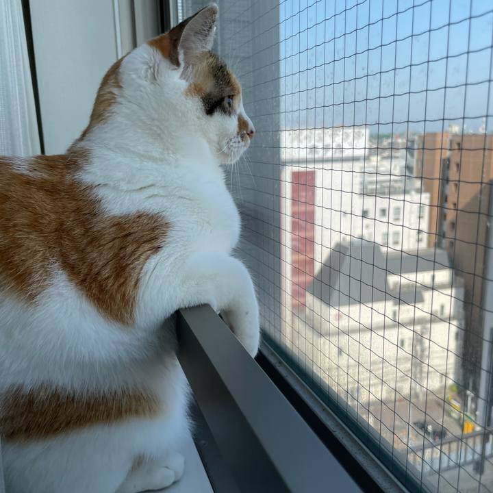 97eb09f8 5d20 49fe a77d 4557a62caac1 1651712789570