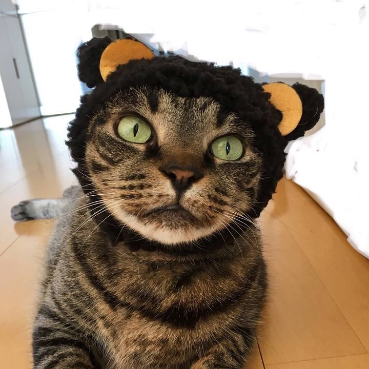 97eb4c55 fb4b 4912 ae1b 4da045977bc8 1526088664962