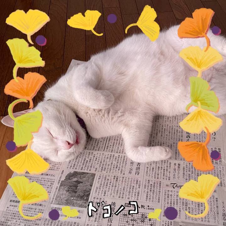 97eb69ee 4b27 4486 84d8 37ba98ef785c 1729217131389