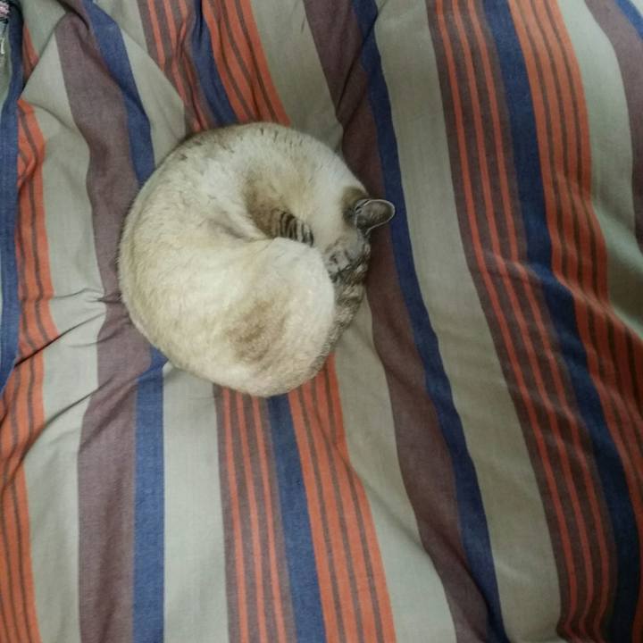 97eb6f15 042d 4acf a5c1 338abf3ab74c 1520776888880