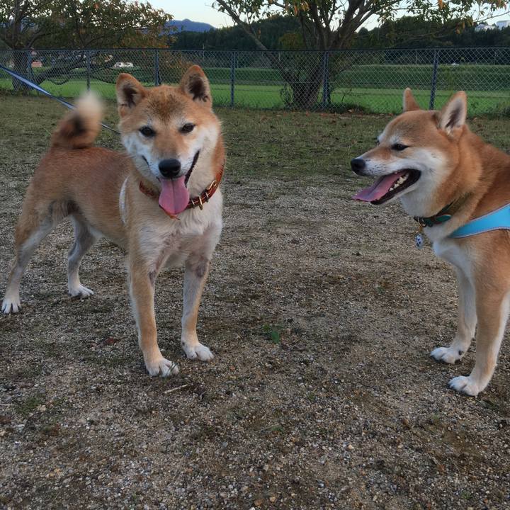 97ebac9a e319 4144 bfb3 01e382d9f596 1541474618932