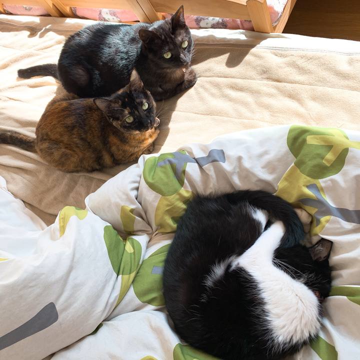 97ebce5c c8a5 44b6 830c 64b7bb8bef6a 1574384481782