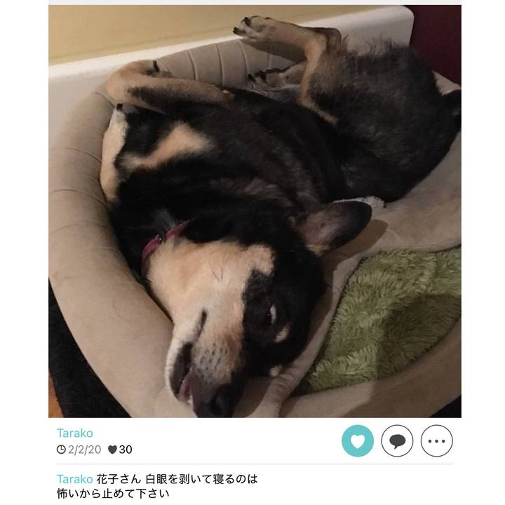 97ebecc8 4e8f 491e 9305 72460873528d 1770112006729