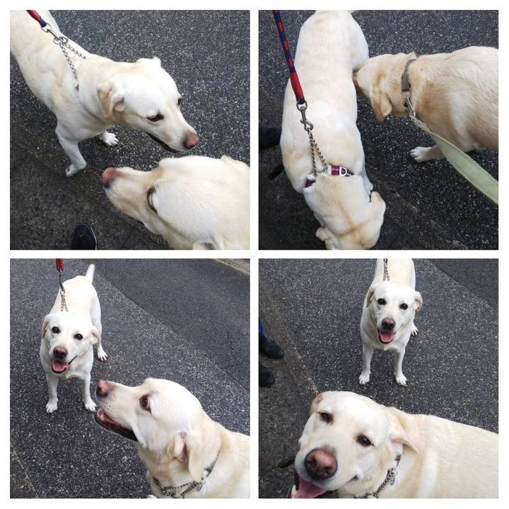 97ec0f8a 7763 4ec9 a13f dbe9cf923493 1568769598218