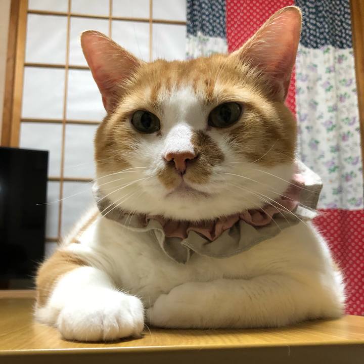 97ec5c67 3f74 49dd 8d33 330618256298 1531100916856