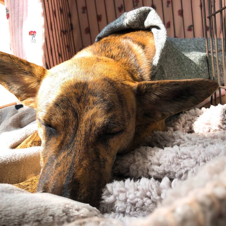 97ec922a 0cfd 491c b8db c6f37f0e9dac 1582342343897