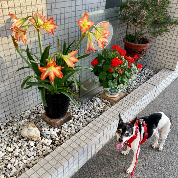 97eca11d 6450 48e8 9ec7 5ba32a3a3710 1620907728630