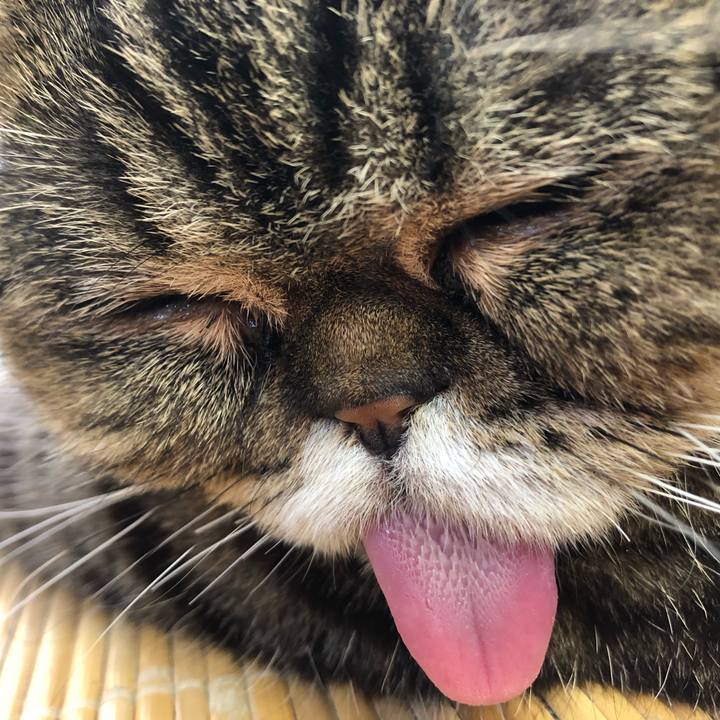 97ed031f 8a0d 4629 bbf2 5e3558e3a7ef 1657238934956