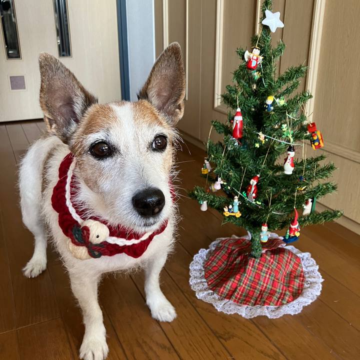 97ed10d8 17c7 4b33 a172 edd528d9dc6f 1735081968608