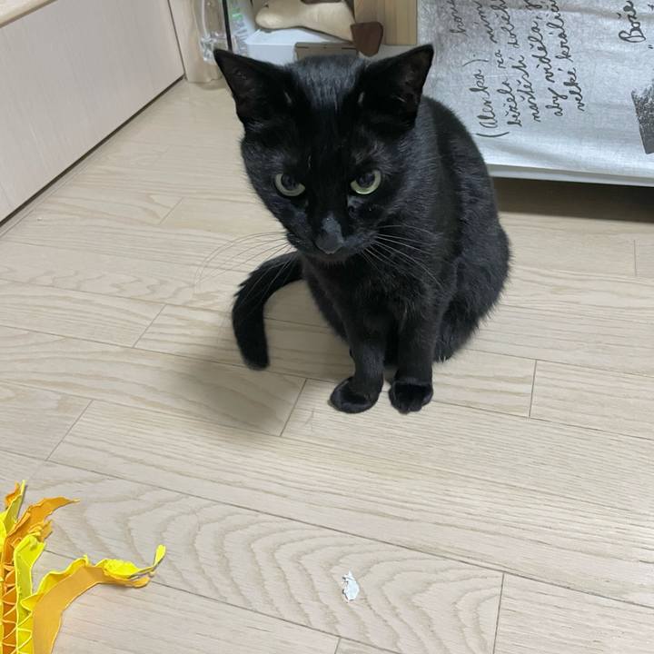 97ed469b bae9 4054 a6f1 d5e48b98e287 1703774251345