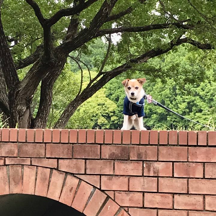 97ed75ab 58e8 4c75 bd82 22f170e39819 1651890620860