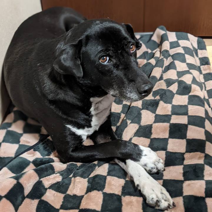 97ed82db 209f 43a8 bc94 7760d9e9c6bb 1676545514681