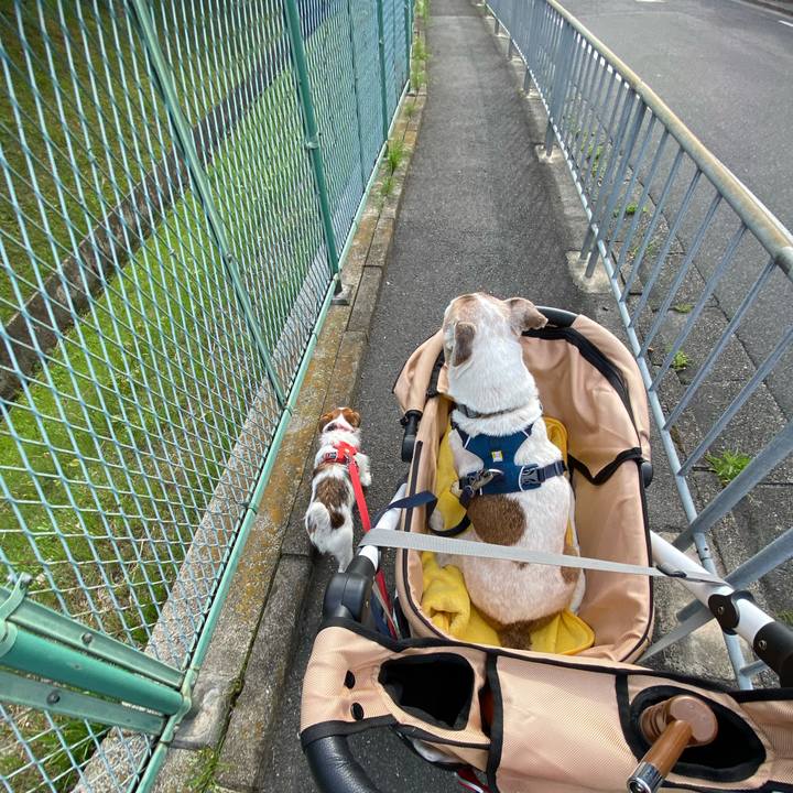 97edaa65 0dbf 4770 b8f8 daf478699597 1651995613528