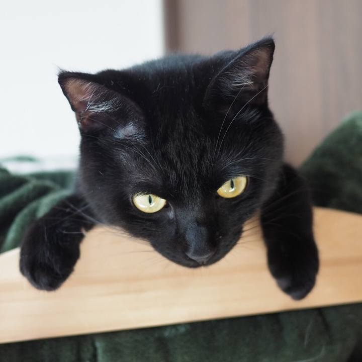 97edc9d0 9dd0 40bf 843f fbb3466c6c7e 1541826301829