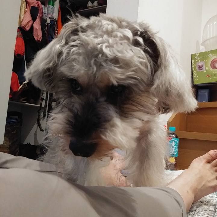 97ee1111 4fb8 48f9 a736 08fa0d389e26 1661807941079