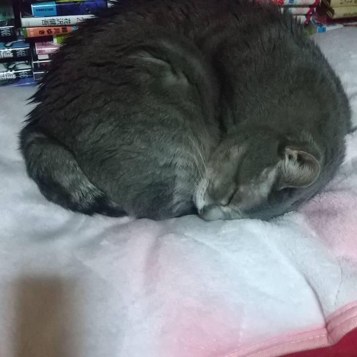 97ee2364 b21b 4bf1 94d5 734927ffa1d1 1614868424326