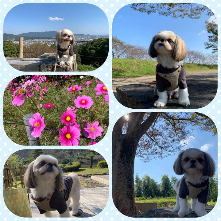 97ee489c 85eb 4d8b a438 b5c26e5d69ef 1635942471360