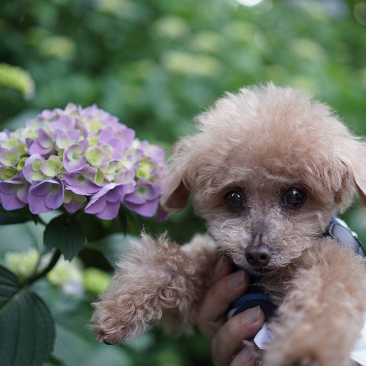 97ee5396 4aad 4cd3 95cf 82050688db5d 1697254160290