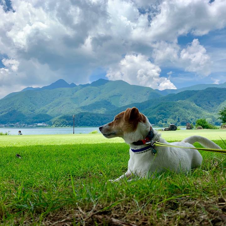 97ee77dc 9760 4b18 b748 b3b91d8a7f4f 1565419625160