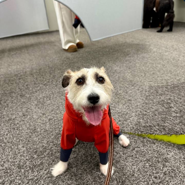 97ee8bde ea6a 4820 8eb9 0cca0ca656a4 1761411300727