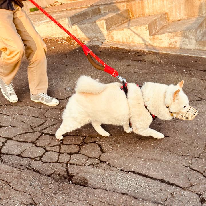 97eeed2e d864 416d 89f3 3c276337ed3e 1712958810653