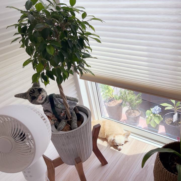 97ef23bb f091 4a8e b022 3de8631e97ae 1749195990964