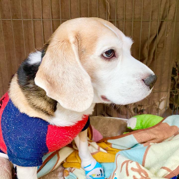 97ef2ad7 07a1 4a10 bc3e 0ffe80a42ffe 1768379177955