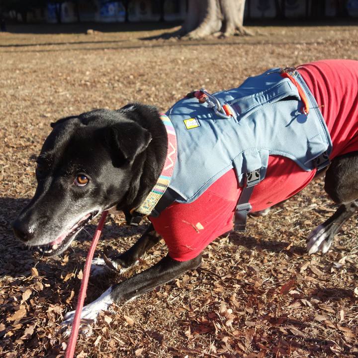 97ef8d61 854b 44bc 9c7e 2d9cacf2293e 1704072205477