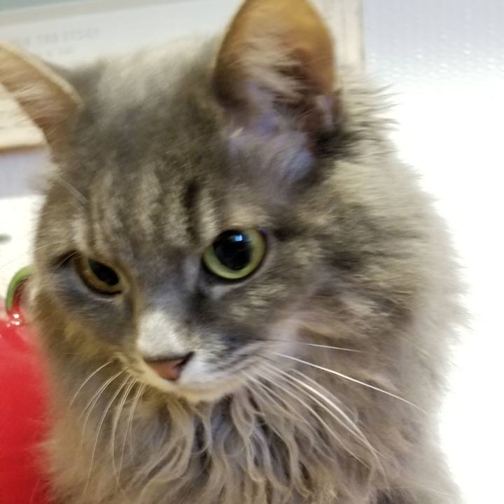 97efa699 3d6c 4a1b 96f1 54d9ebe8a14f 1542074649995