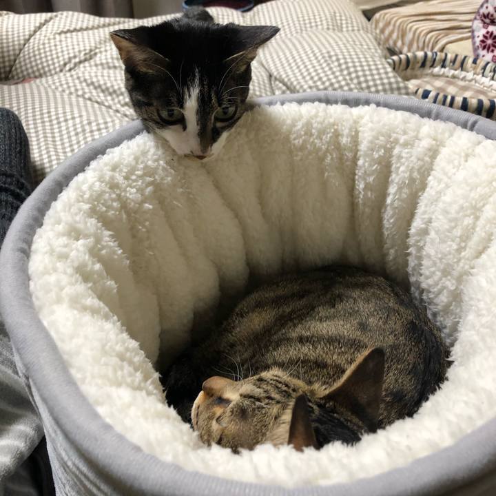 97efb833 a133 45d5 8824 8df3745e12e9 1577307057924