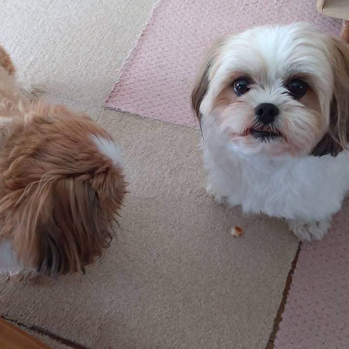 97efd209 15b8 42a6 b5fd d9bdd431671b 1618373122627