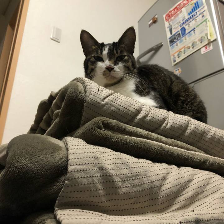 97efd501 5820 434e 9511 d7bb42cefeb5 1651868574375