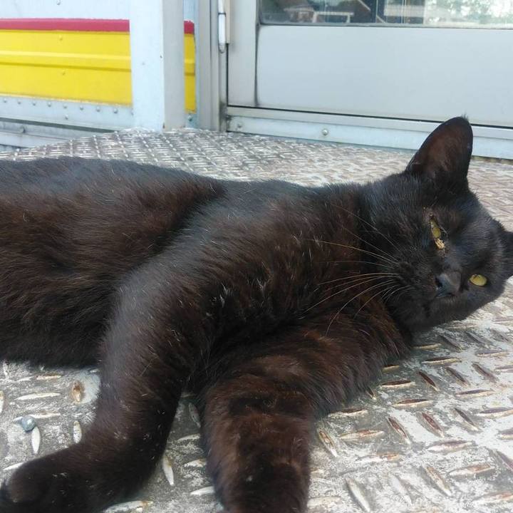 97efd81c cd99 4dbd b4a1 3d979c9273f9 1568682107964