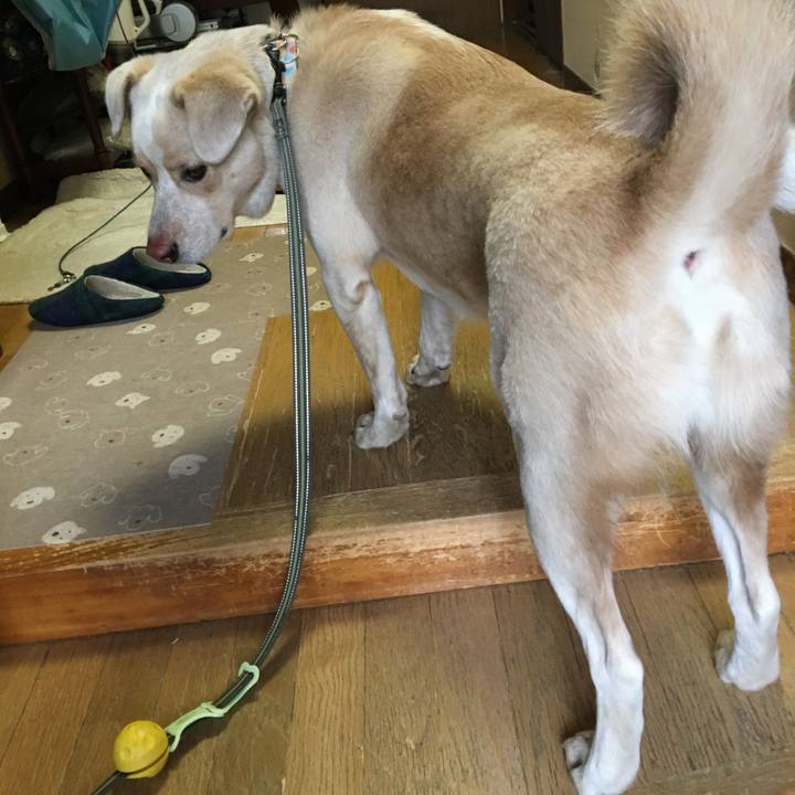 97f00fcd e05b 40dd 8acf b08860b7db0c 1516591385291