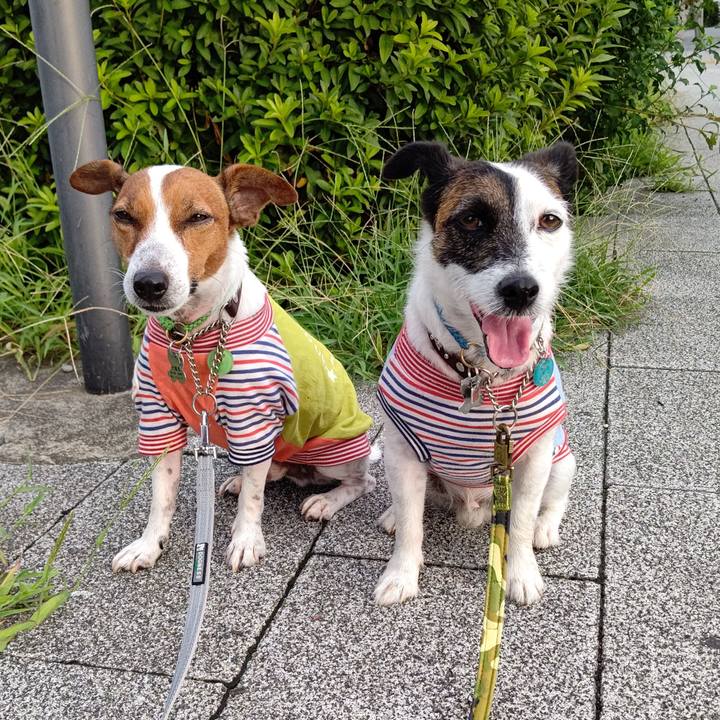 97f03c04 19fe 4feb a512 92d2593bcd7a 1660512187899