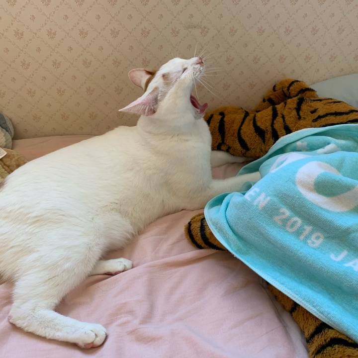 97f07141 0687 4a31 ba58 3b1860ce5096 1603600705276