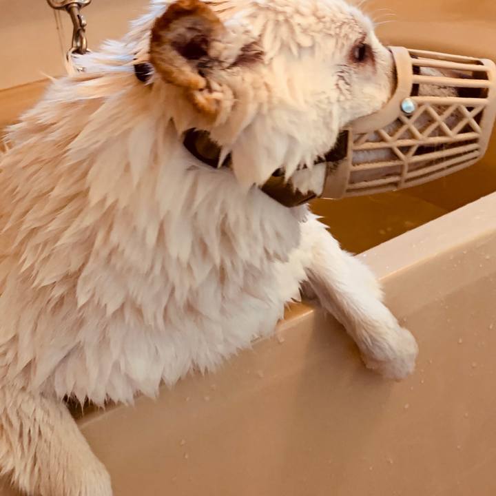 97f0b212 2ca4 4f0a 92f8 fc73a17d35e4 1598227534642