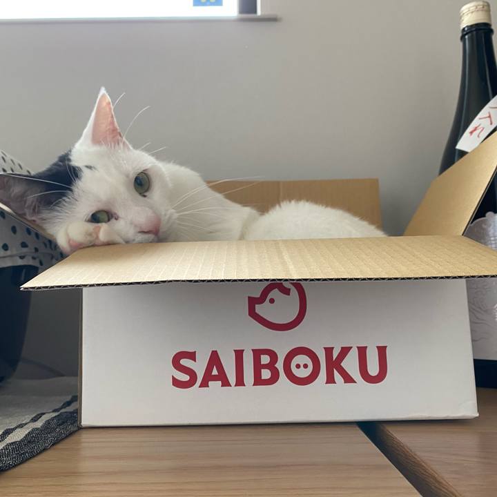 97f0ccc1 cb15 4c32 adf2 01ce9e463f05 1723786311488