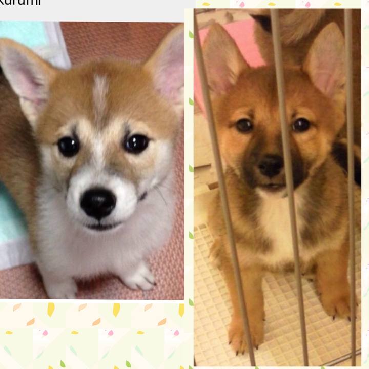 97f0e424 c428 41e2 8006 cc3dbbb31ce7 1561697160269