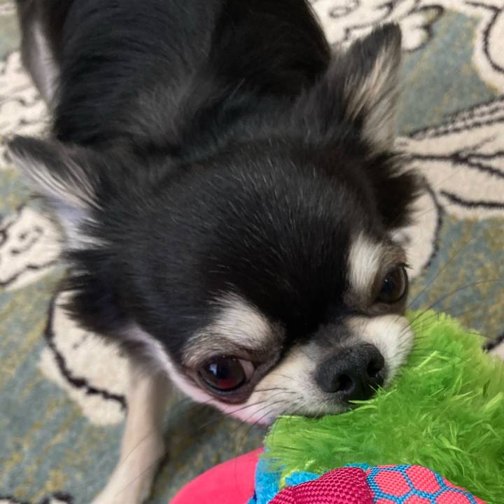 97f10167 389b 4c13 a4f7 d3203a95469b 1619844056885