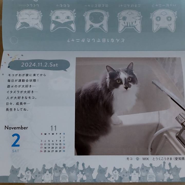 97f10f9a f4ec 4349 a5bf 829ef37ff762 1695814027538