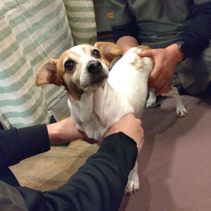 97f145e6 3362 461b 95d2 9809bec6cc47 1768394036454