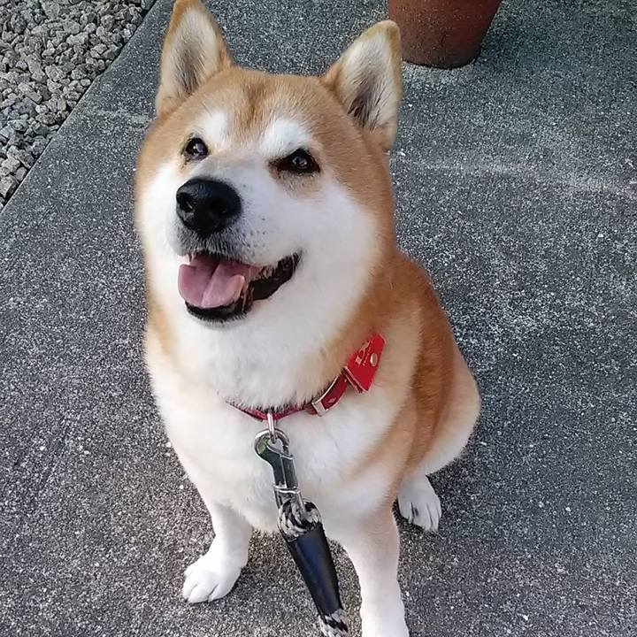 97f14a65 550d 408a 90c2 34a5705c946d 1701212571163