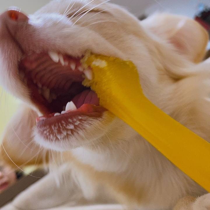 97f15478 ba18 4cc4 86cc 3b5325e7829d 1610539772123