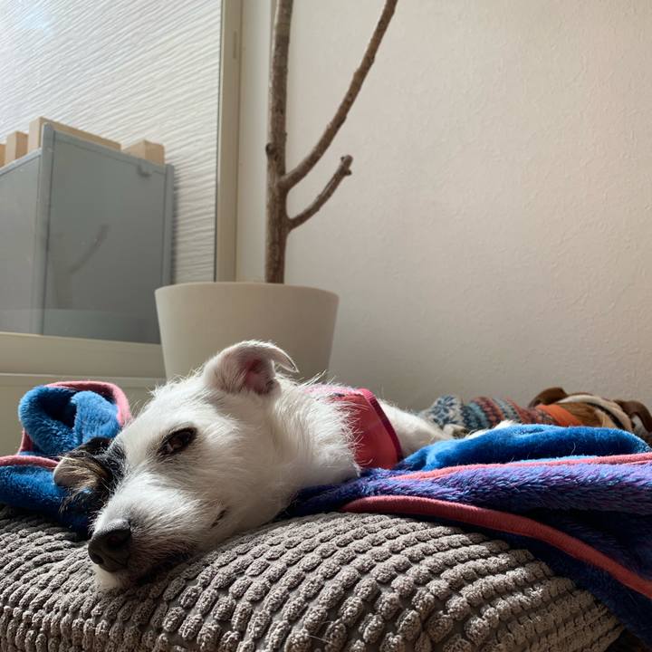 97f161c4 1029 428f ba86 345ff7f555be 1551673091366